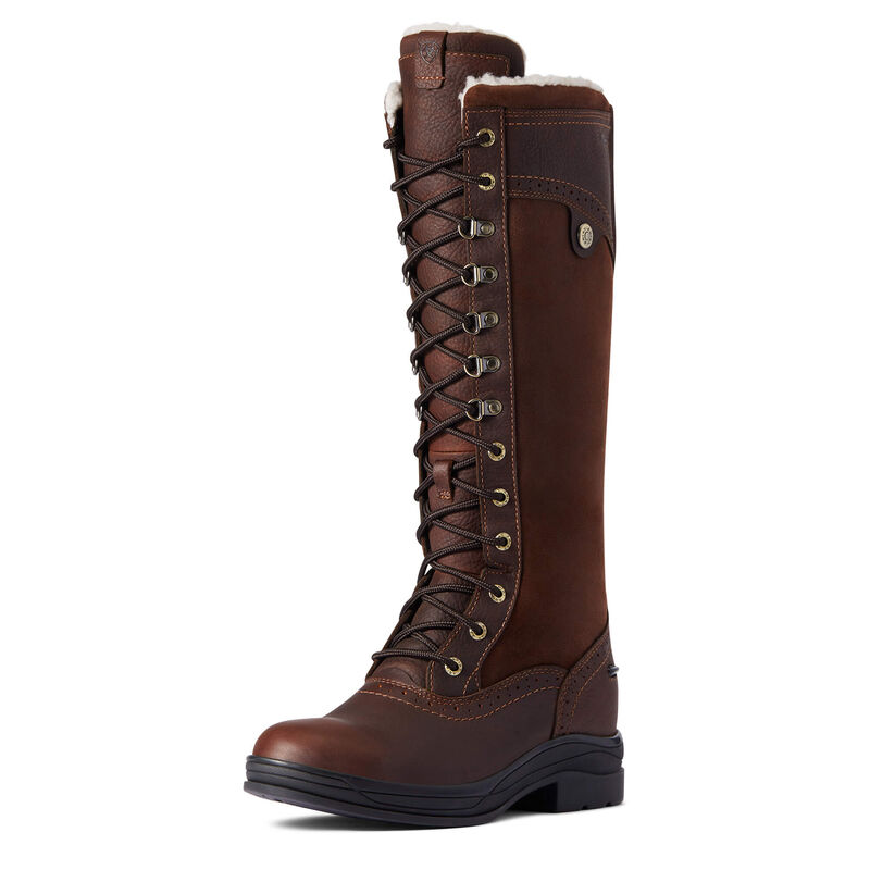 Botas De Montar Ariat Wythburn Tall Waterproof Marrones Oscuro Mujer - Chile 865-UIYCEZ